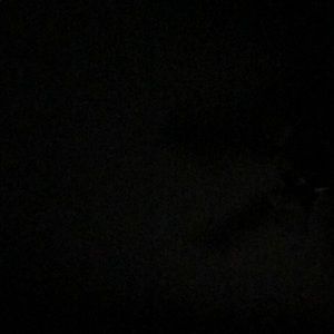 Meet your Posher, Melisa